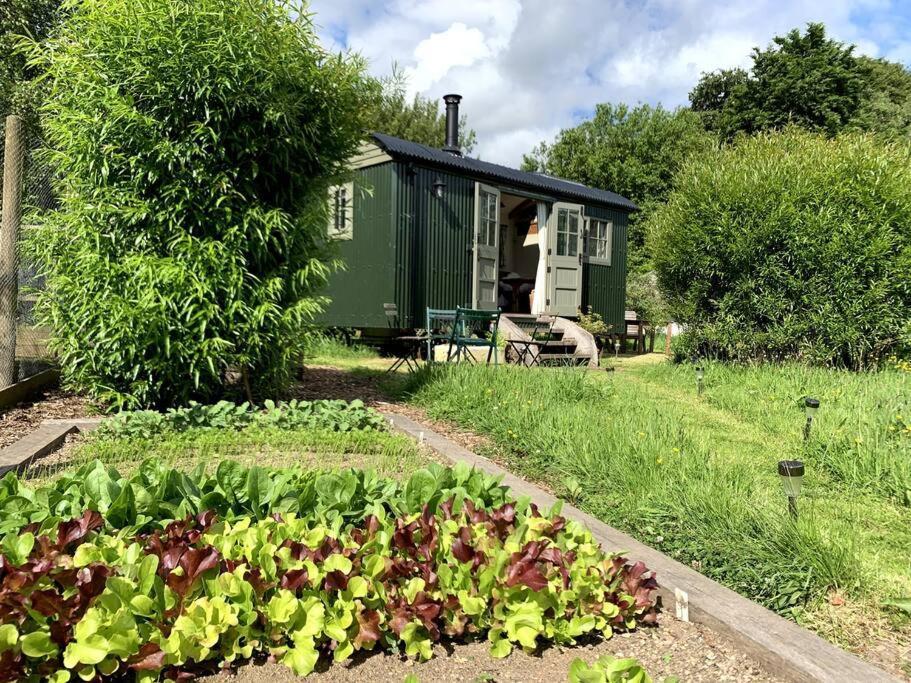 ניוטון אבוט Rushford Shepherd'S Hut מראה חיצוני תמונה